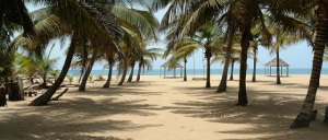 westwood coconut beach